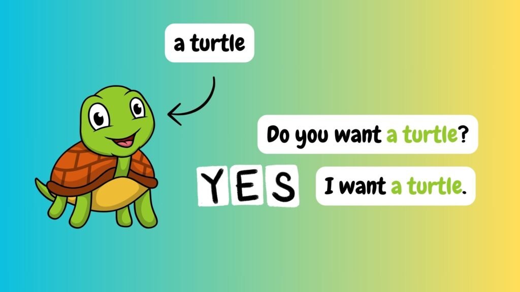 Do you want a turtle?